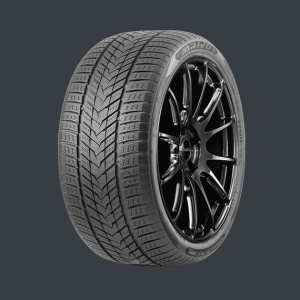 285/45R19 ARIVO WINMASTER PROX ARW 5 111H XL