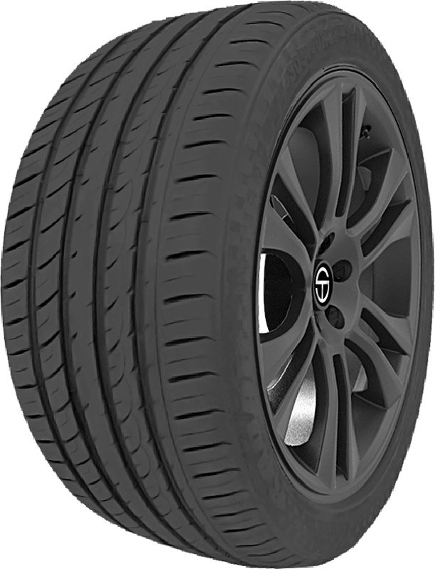 285/35R21 RADAR DIMAX R8+ 105Y XL